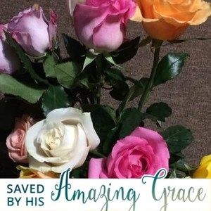 Meet your Posher, Deb